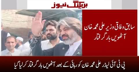 PTI leader Ali Muhammad Khan arrested for the eighth time after his release