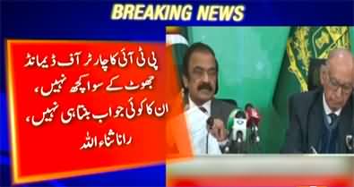 PTI's charter of demand is nothing but lies and propaganda - Rana Sanaullah