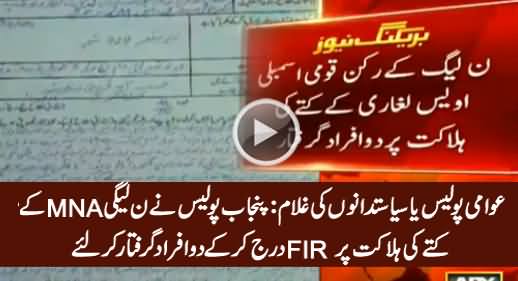 Punjab Police Lodges FIR & Arrests Two People on The Killing of PMLN MNA's Dog