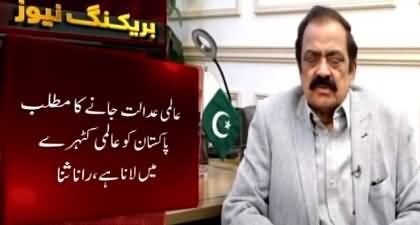 Rana Sanaullah bashes Imran Khan for approaching International court of Justice