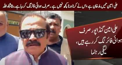 Rana Sanaullah calls Ali Amin Gandapur 'Tees Maar Khan'