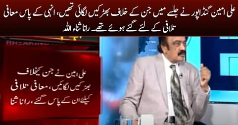 Rana Sanaullah reveals where was Ali Amin Gandapur last night