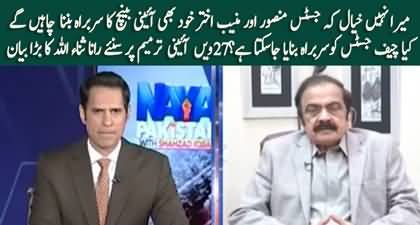 Rana Sanaullah's big statement about 27th amendment