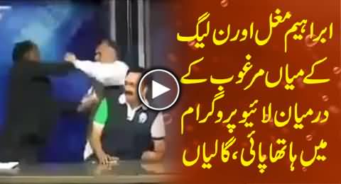 Real Fight Between Ibrahim Mughal and Mian Marghoob of PMLN in Live Show