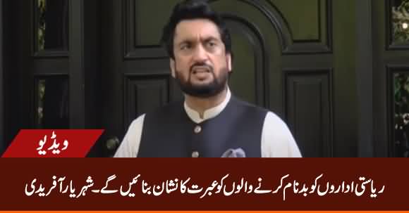 Riasati Idaro Ko Badnam Karne Waalo Ko Ebrat Ka Nishan Banayein Ge - Shehryar Afridi