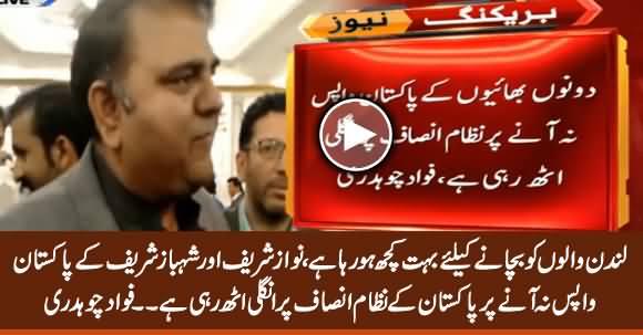 Sharif Brothers Are Not Returning Pakistan, Questions Are Arising on Pakistan's Justice System - Fawad Ch