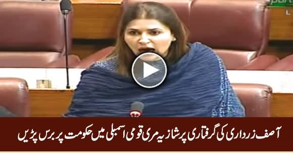 Shazia Murree Blasts on PTI Government on Asif Ali Zardari's Arrest