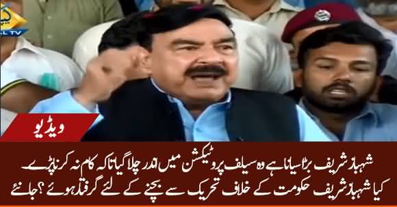 Shehbaz Sharif Got Arrested In Self Protection - Sheikh Rasheed Ahmad