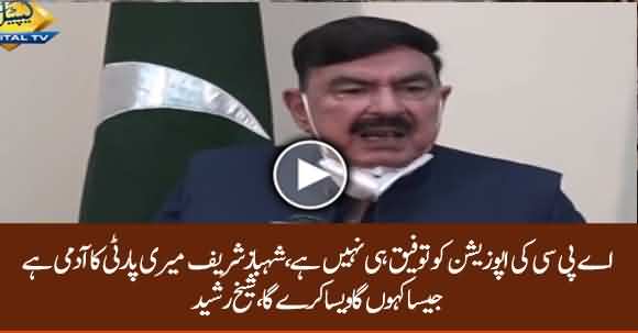 Shehbaz Sharif Meri Party Ka Member Hai Jesa Kahun Ga Kary Ga - Sheikh Rasheed