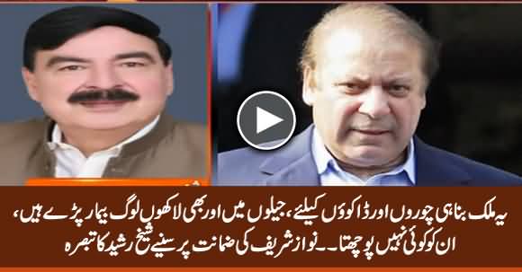 Sheikh Rasheed Comments on Nawaz Sharif's Bail Approved By Court