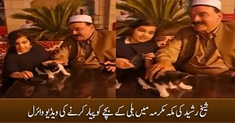 Sheikh Rasheed petting a cute kitten in Makkah Mukarma