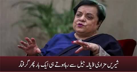 Shireen Mazari rearrested right after her release from Adiala Jail