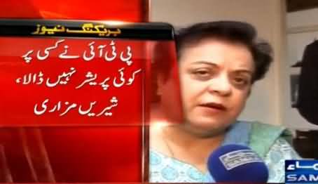 Shireen Mazari Response on PMLN Minister Rana Tanveer's Allegations on PTI