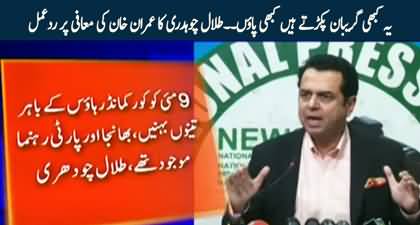 Talal Chaudhry slams Imran Khan over conditional apology