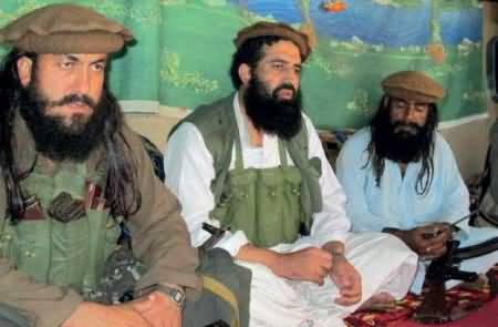 Taliban Agreed on Temporary Ceasefire, Contacting to Their Subordinate Groups
