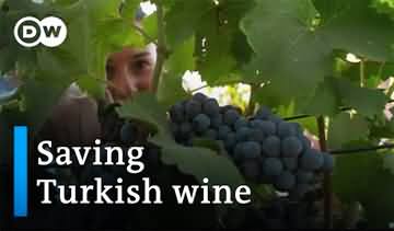 Tayyip Erdogan killing Turkey's storied winemaking tradition