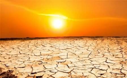 Thar Drought Enters in the Desert of Cholistan, Punjab Govt Unaware