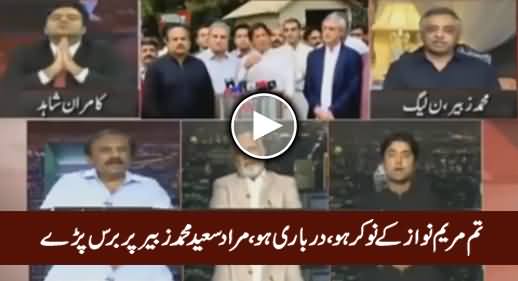 Tum Maryam Nawaz Ka Naukar Ho, Darbari Ho - Murad Saeed Blasts on Muhammad Zubair