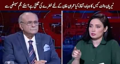 Tyrian White case against Imran Khan set for hearing again - Najam Sethi's analysis