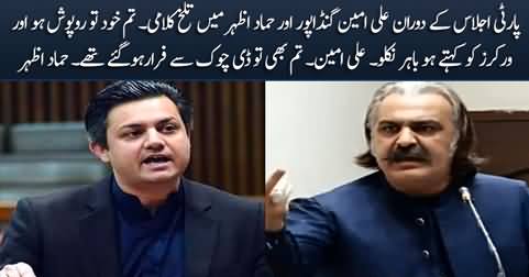 Verbal clash between Ali Amin Gandapur and Hammad Azhar in party meeting