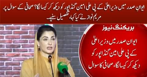 What did you feel on seeing CM Ali Amin Gandapur in President house? Journalist asks Maryam Nawaz