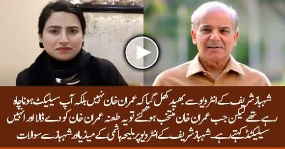 Who Is Real SELECTED Imran Khan Or Shehbaz Sharif? Maleeha Hashmi Bashes PMLN President