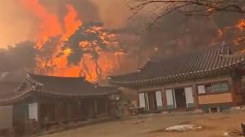 Wildfires destroy 1,000-year-old temple in South Korea