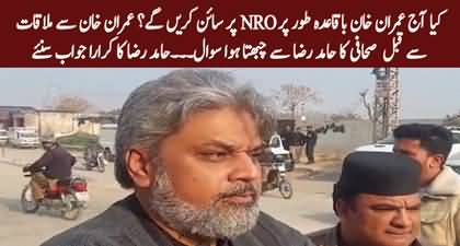 Will Imran Khan officially sign NRO today? Reporter's tough question to Hamid Raza