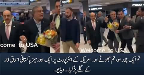 You are a thief, you are a liar - An overseas Pakistani says to Ishaq Dar on US airport